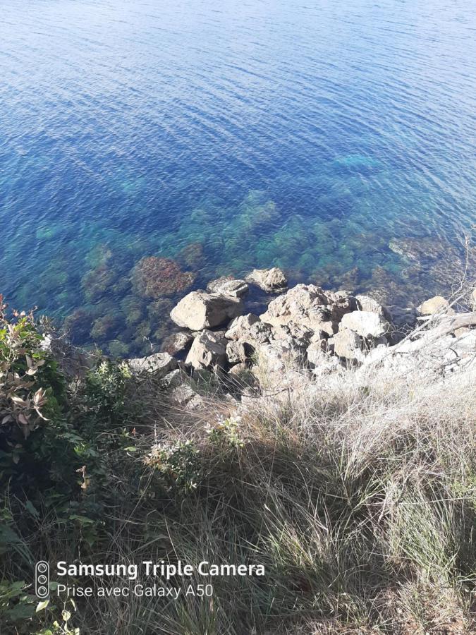 Villa sécurisée pres des lecques Saint-Cyr-sur-Mer Esterno foto